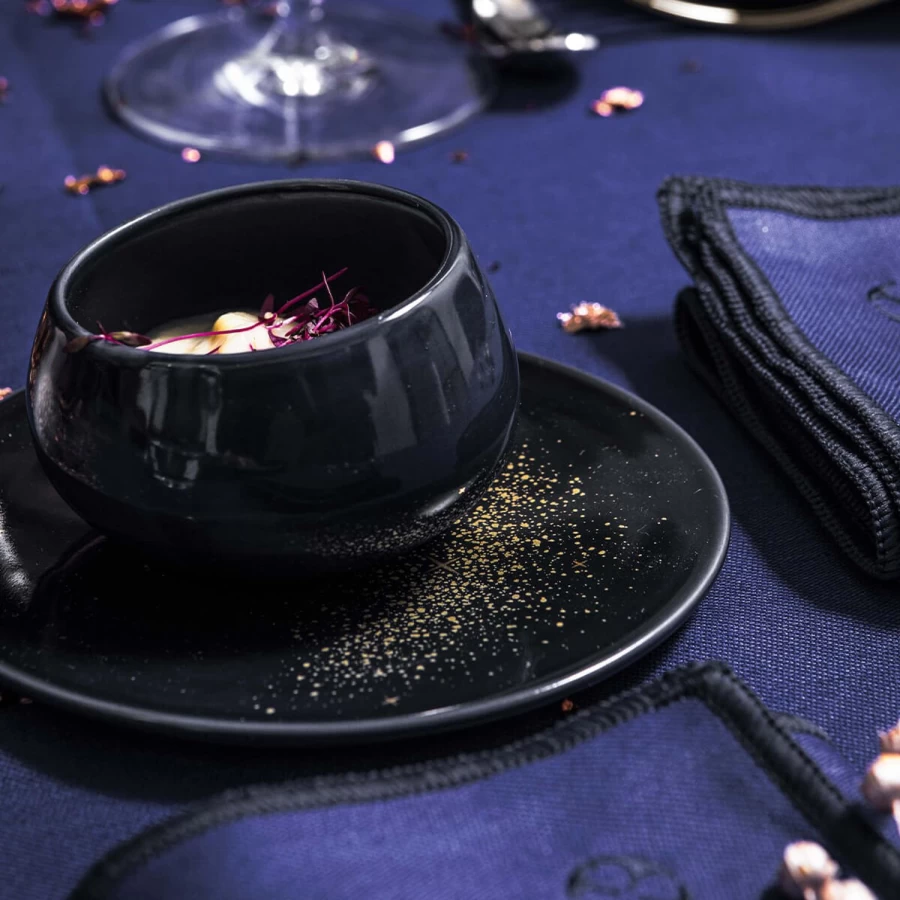 "Degrenne Paris Starry Night Collection - Elegant French Tableware & Home Decor"
