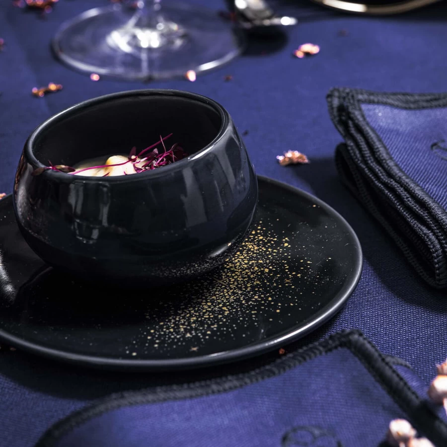 Degrenne Paris Starry Night Dinnerware Set - Elegant Tableware Collection