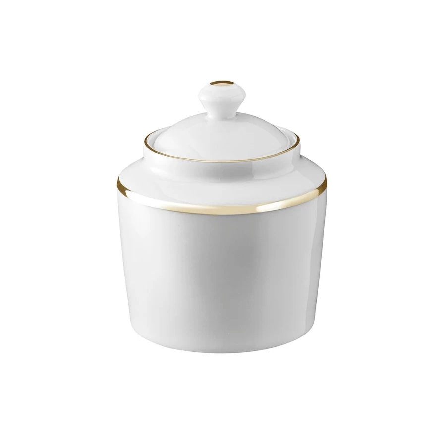 Degrenne Paris Eclipse Gold Galon Luxury Tableware Collection