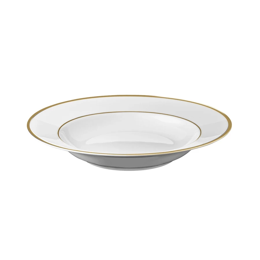 Degrenne Paris Eclipse Gold Galon Luxury Tableware Collection