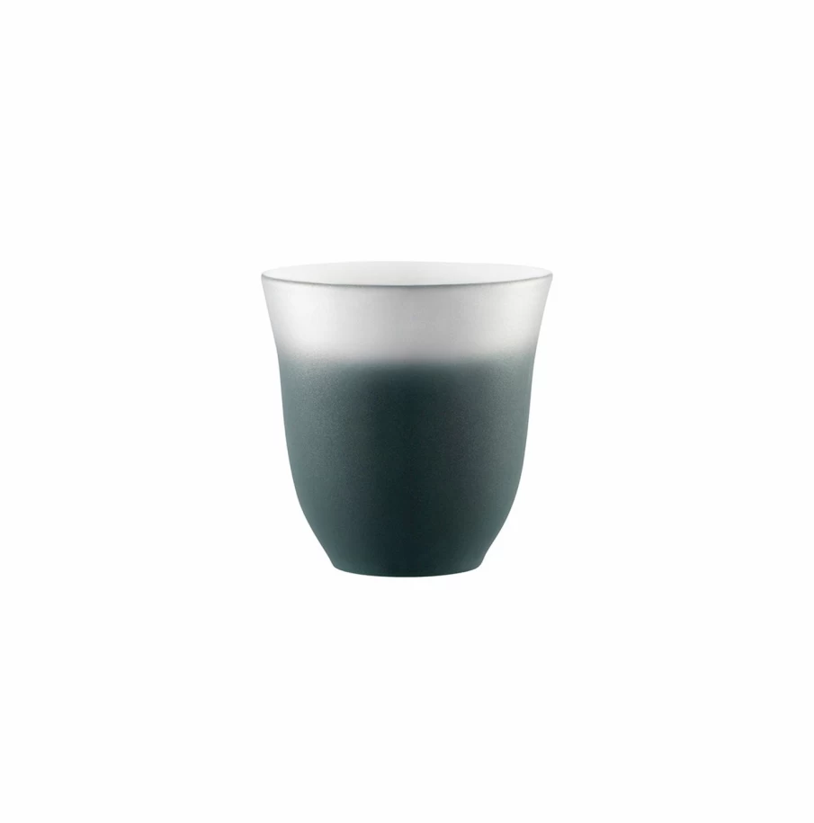 Degrenne Paris Sencha Illusions - Premium Collection for Elegant Living