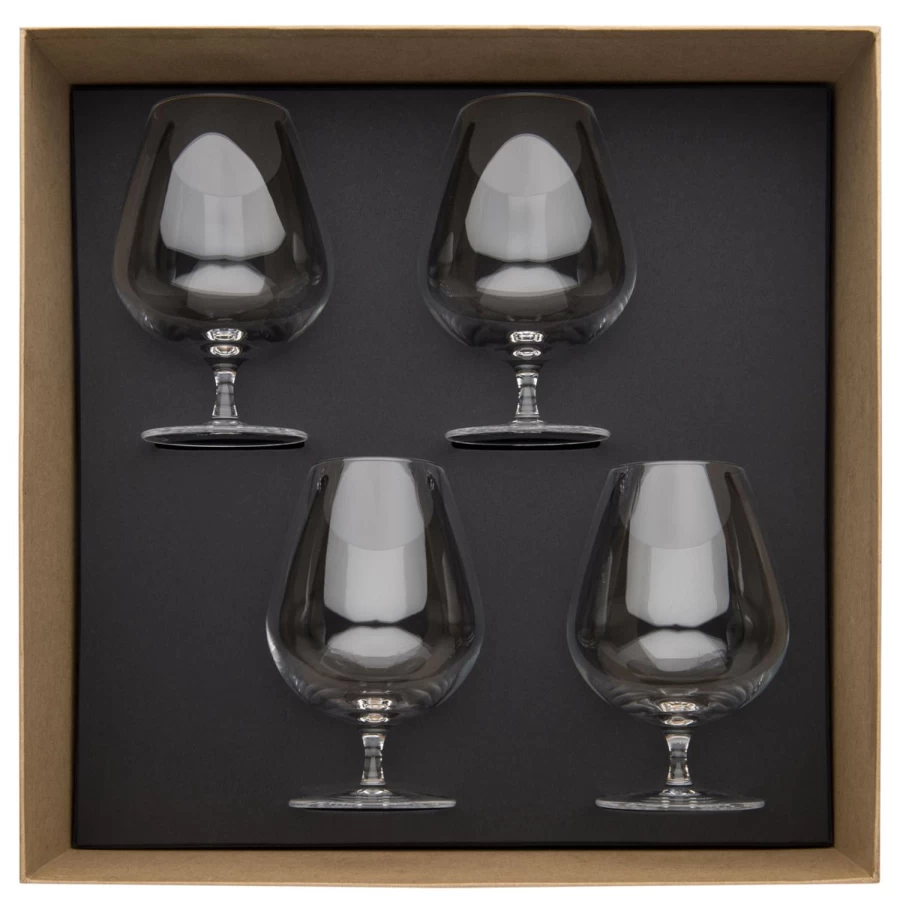 Degrenne Paris Transparent Anytime Collection - Elegant & Stylish Design